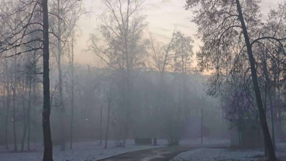 Фото: Максим Зубарев