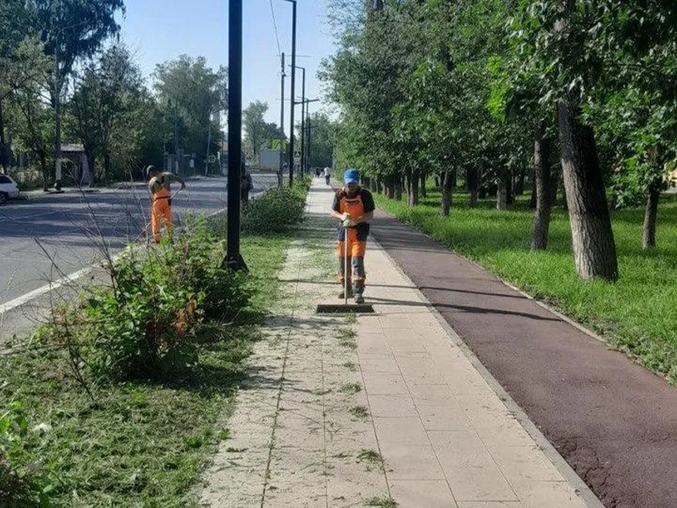 Фото: пресс-служба администрации г.о. Долгопрудный