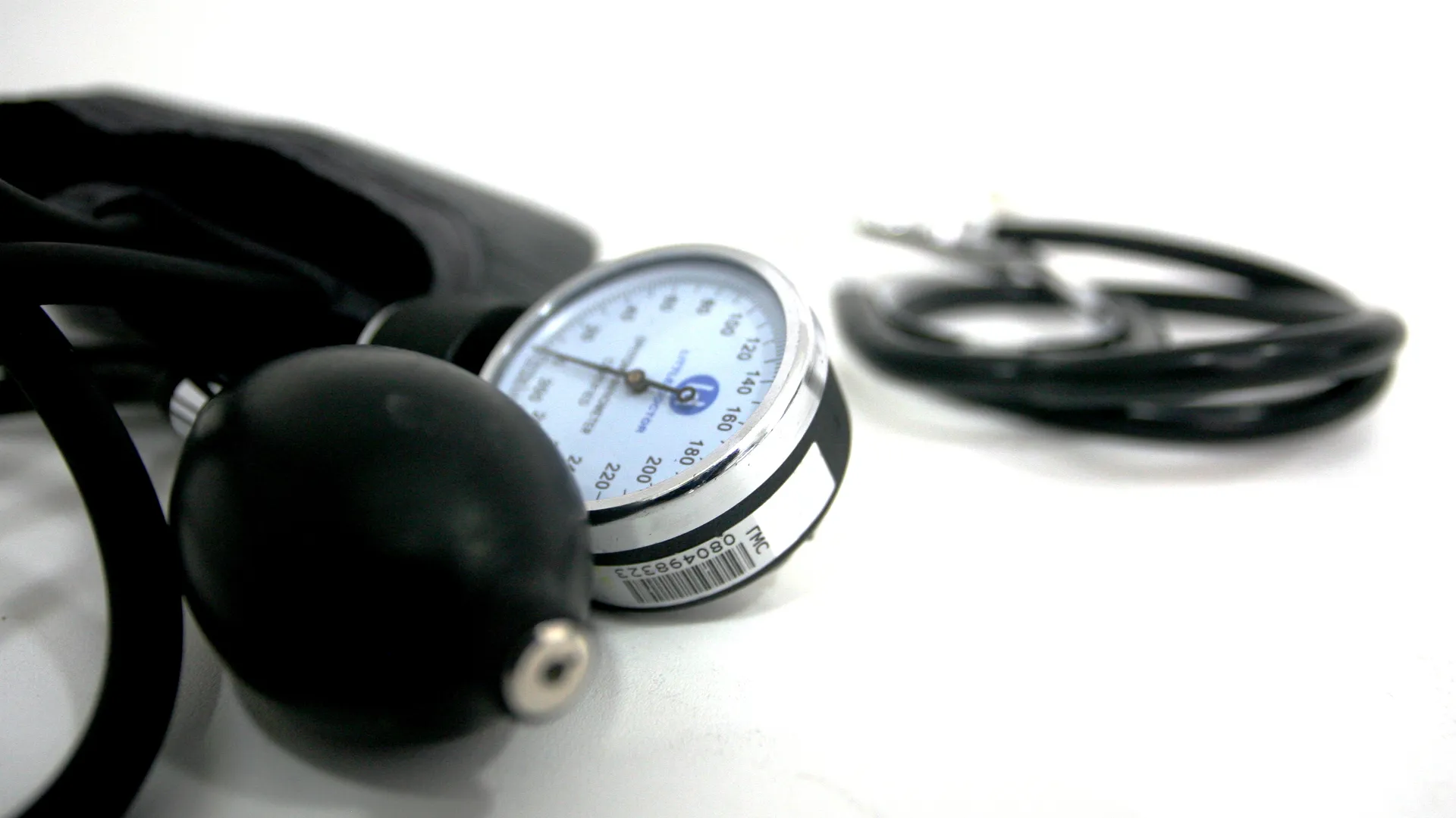 Фото: Виталий Ватулин