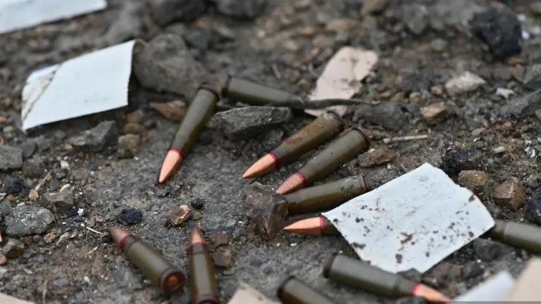 ©  Арам Нерсесян, РИА Новости