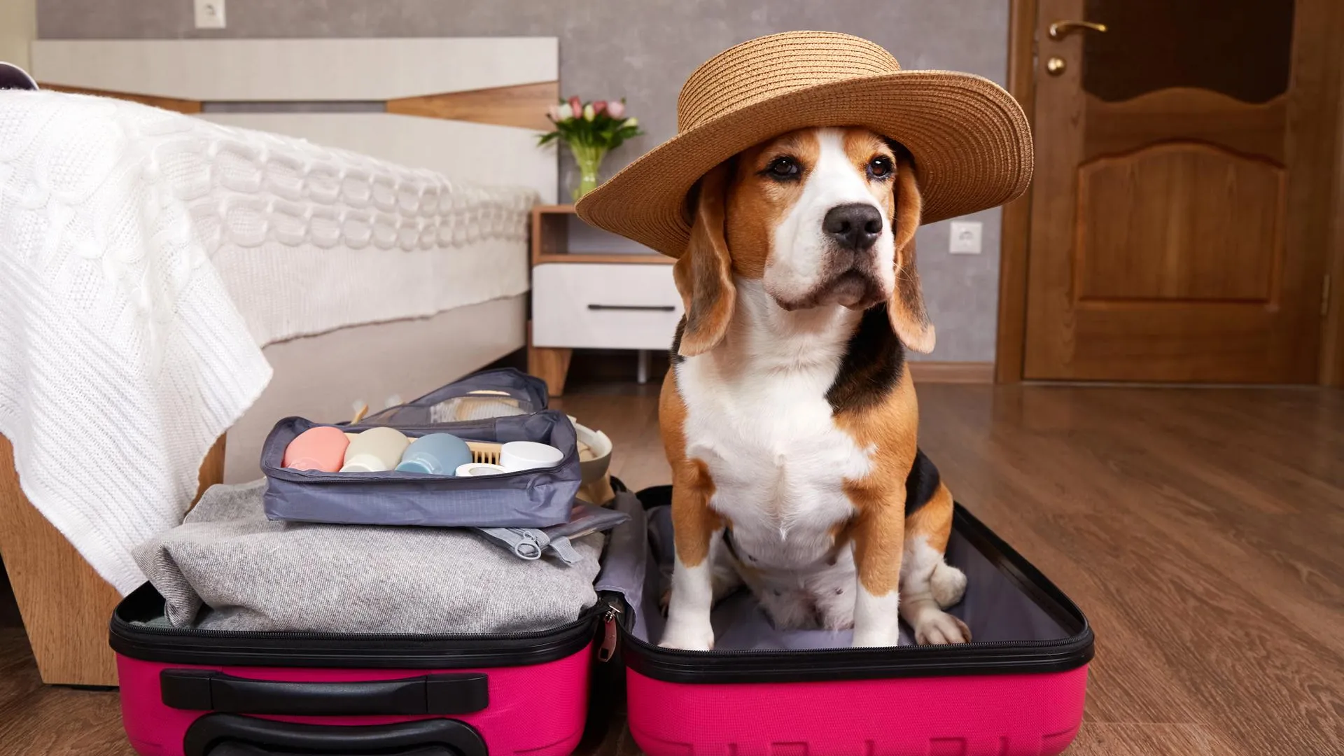 Собака диктует гастроли: Успенская рассказала, что требует от организаторов