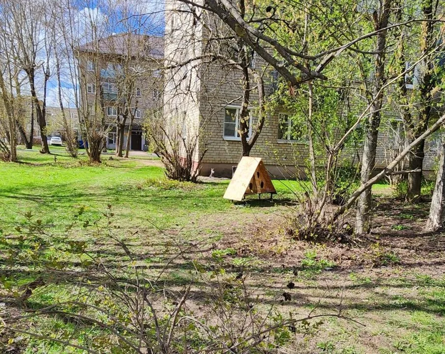 Фото: Екатерина Данилина