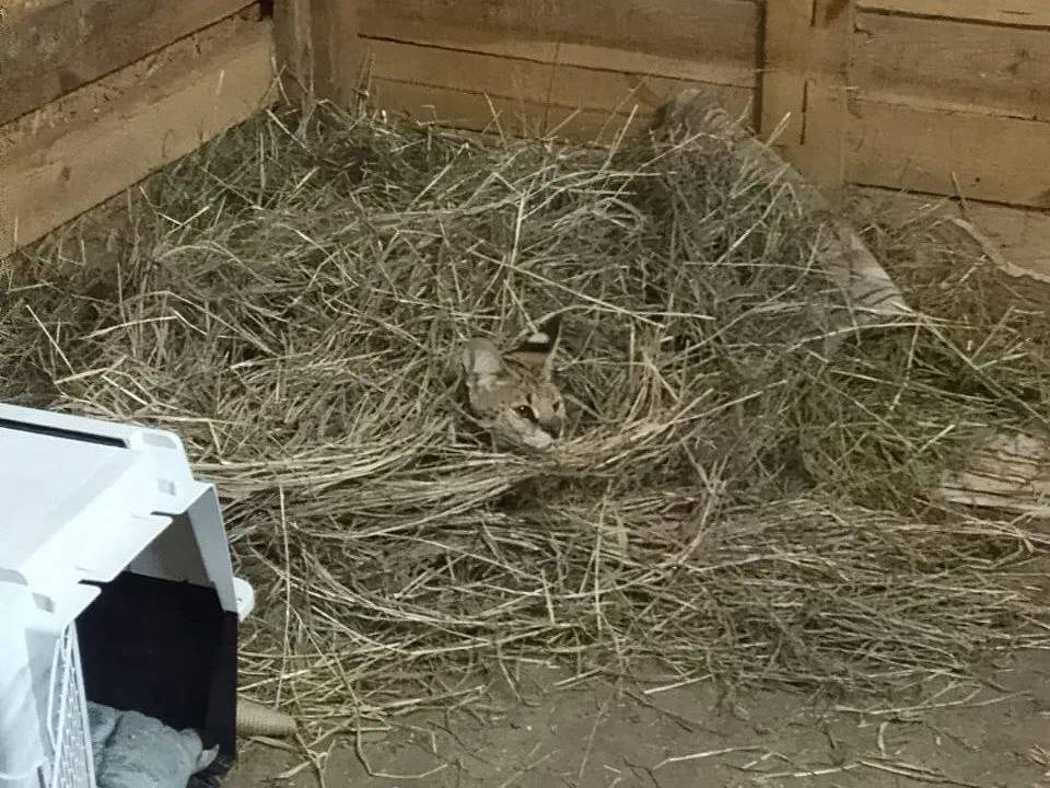 Фото: Алина Тлеукулова