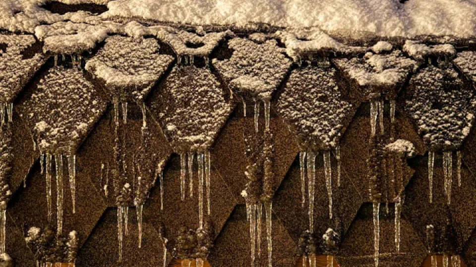 Фото: REGIONS/Владимир Ерастов