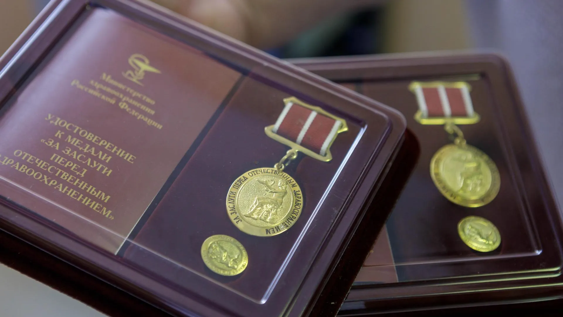 Люберецкая областная больница, Наталья Лымарь