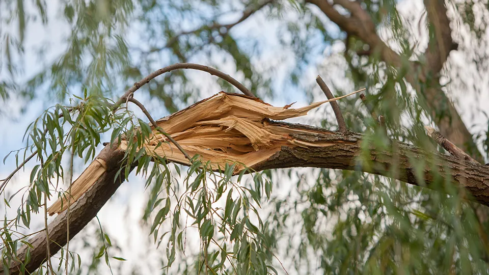 Фото: istockphoto.com