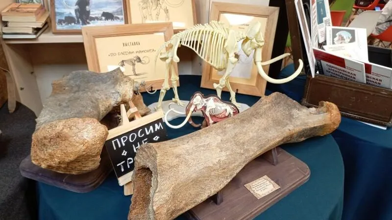 Пресс-служба администрации Одинцовского г. о.