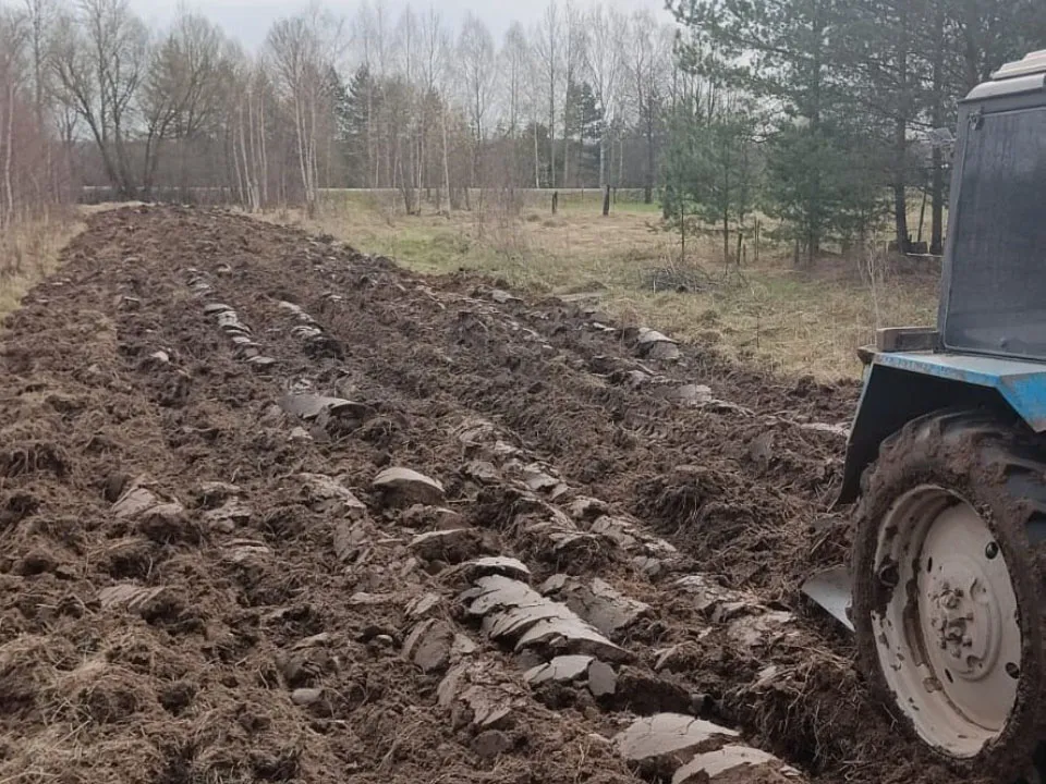 Фото: администрация г.о. Лотошино