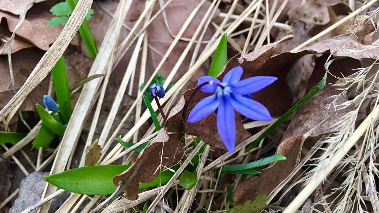 фото: Администрация Волоколамского округа