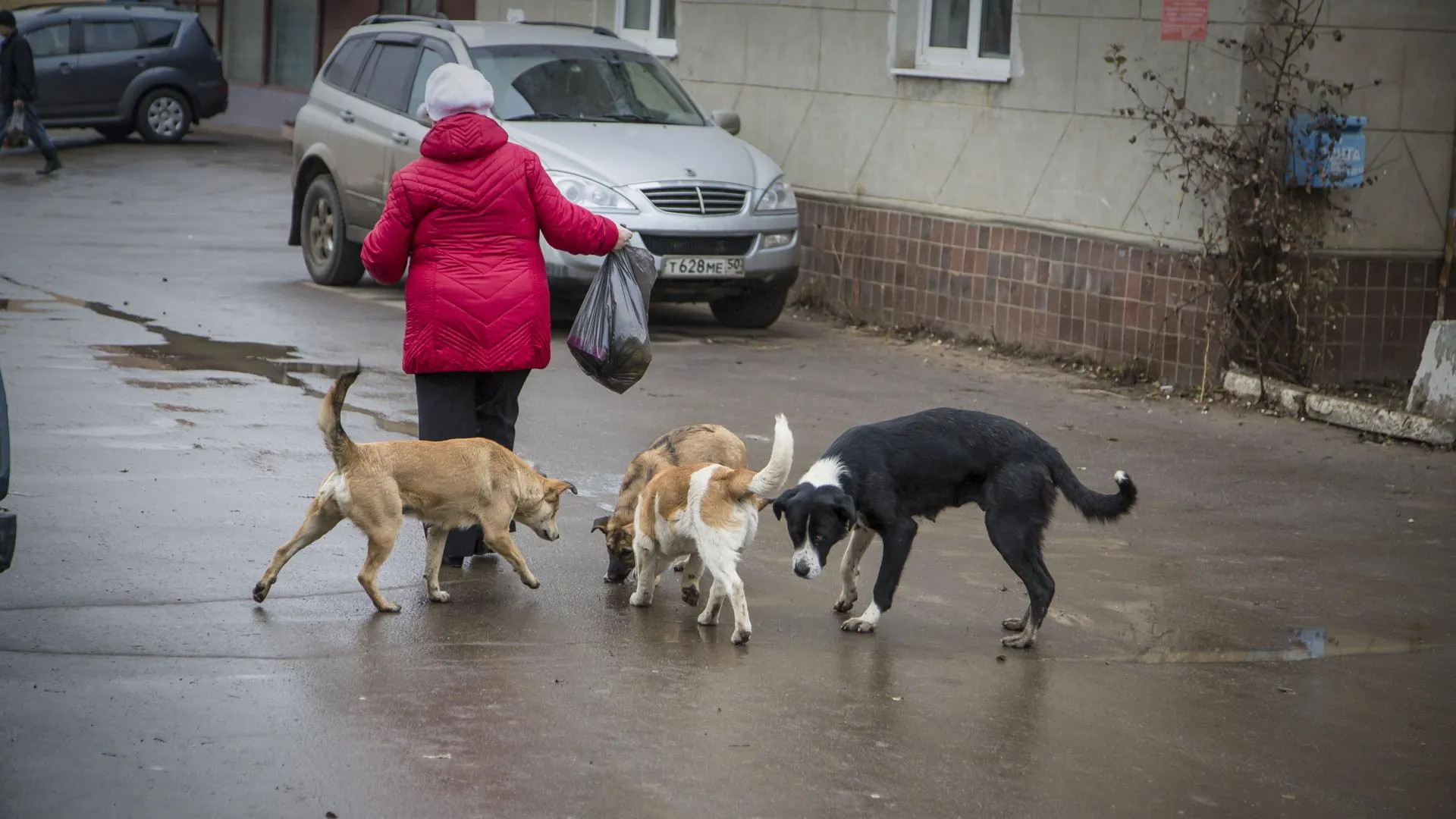 Фото: Павел Попов