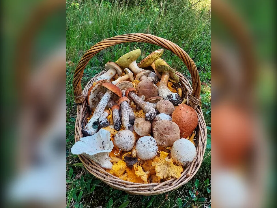 Фото: Василий Потапов