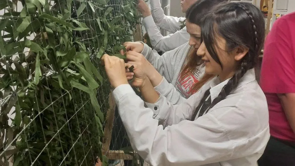 Фото: Администрация г.о. Лобня