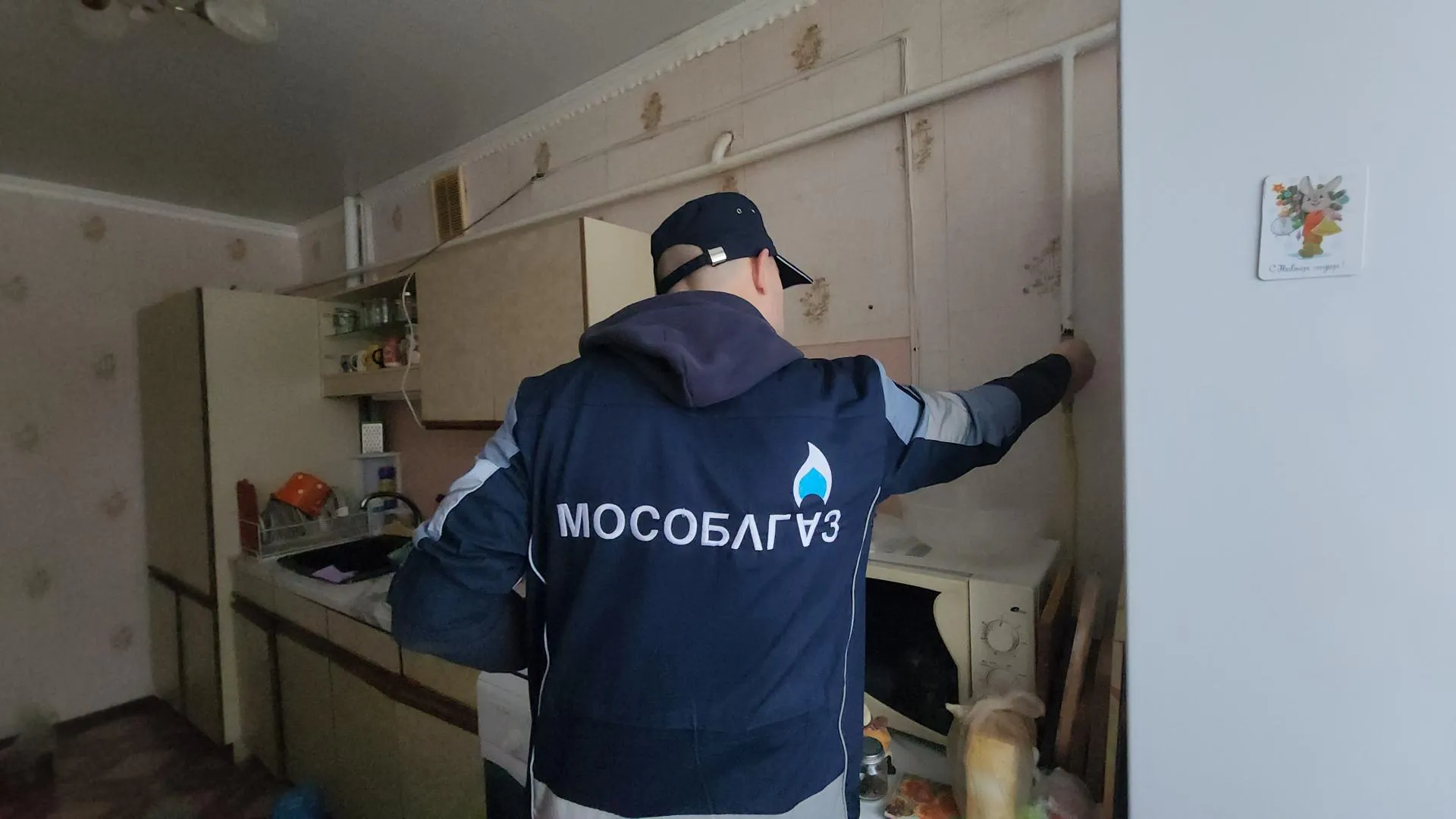 МедиаБанк Подмосковья/Екатерина Морозова