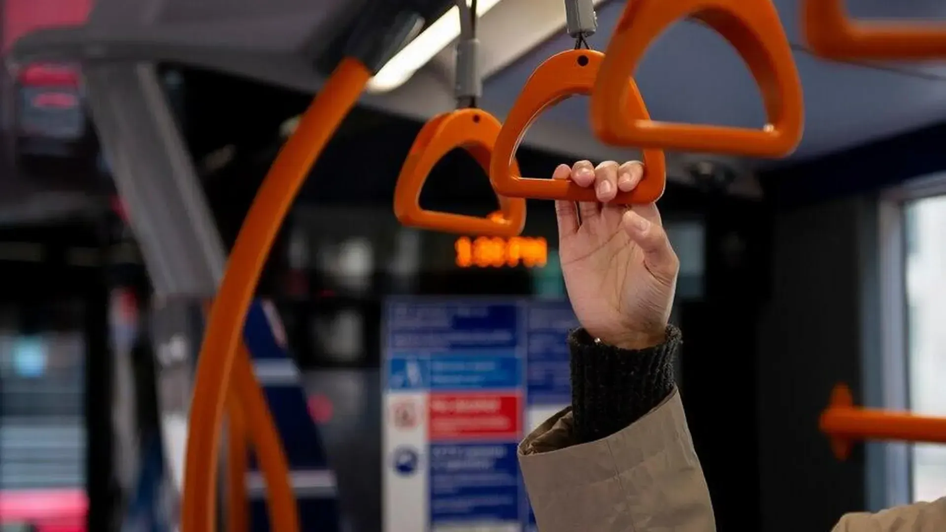 Фото соцсети.