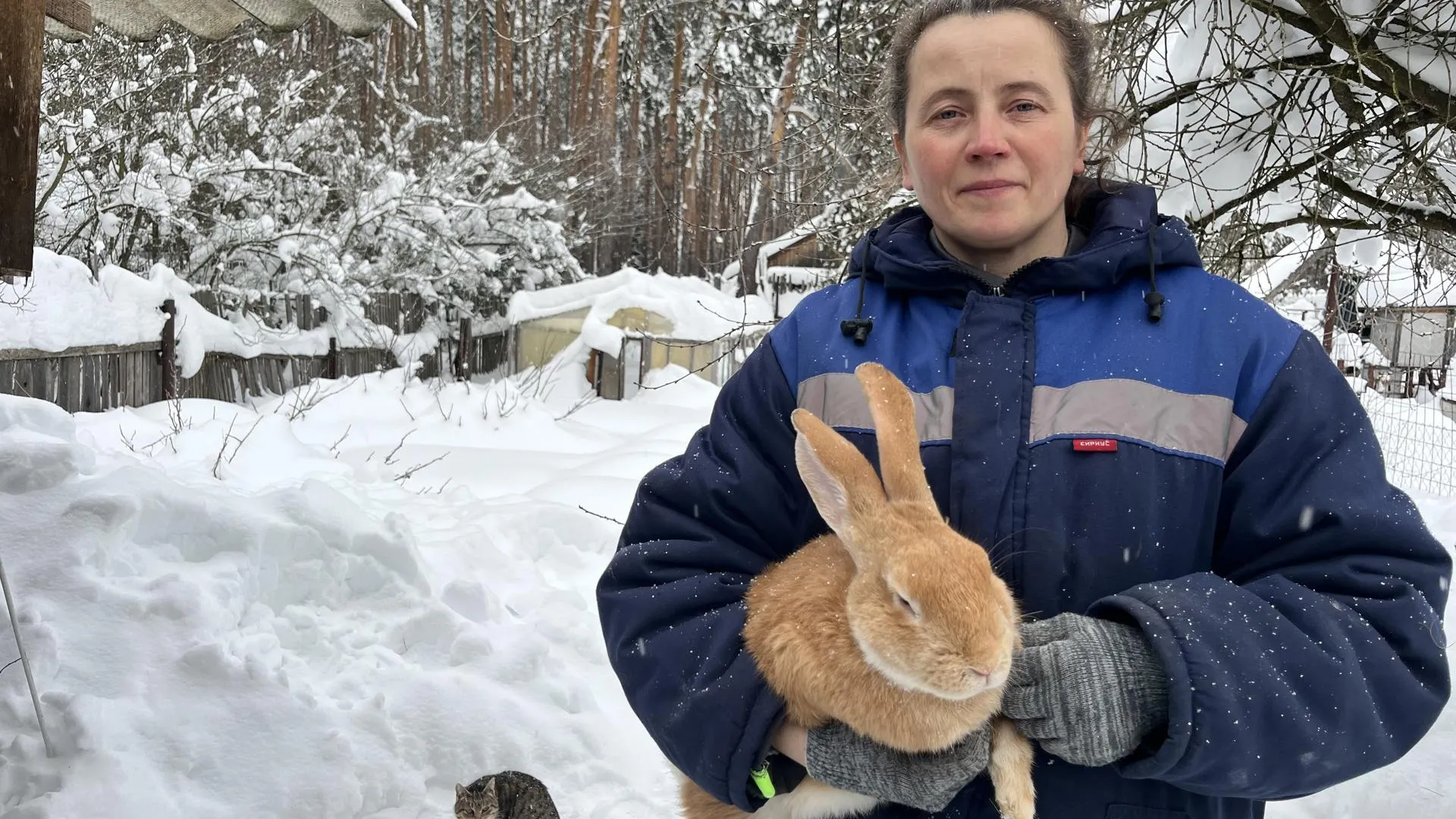 МедиаБанк Подмосковья/Ангелина Стельмух