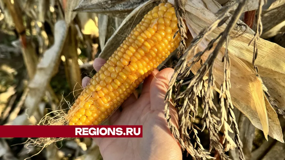 Фото: Татьяна Рунова