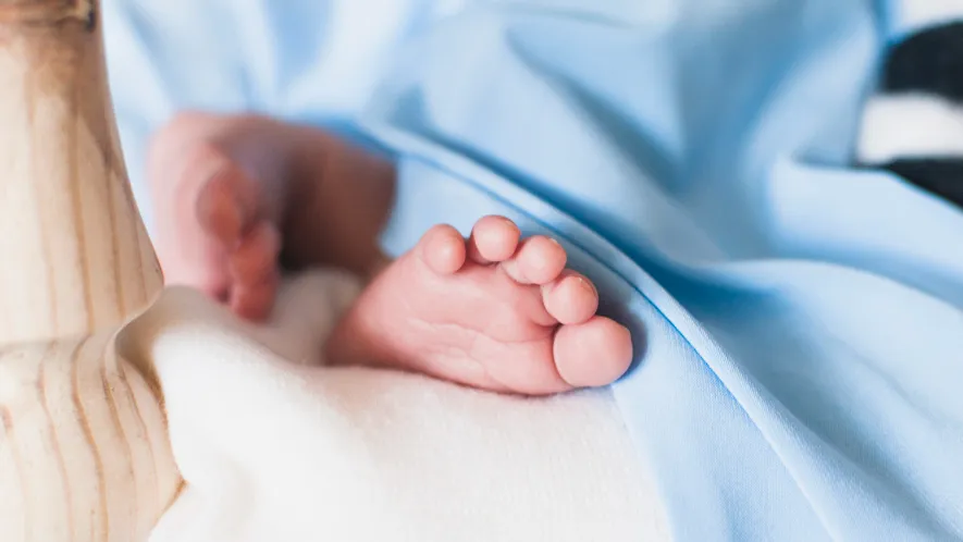 Фото: freepik.com