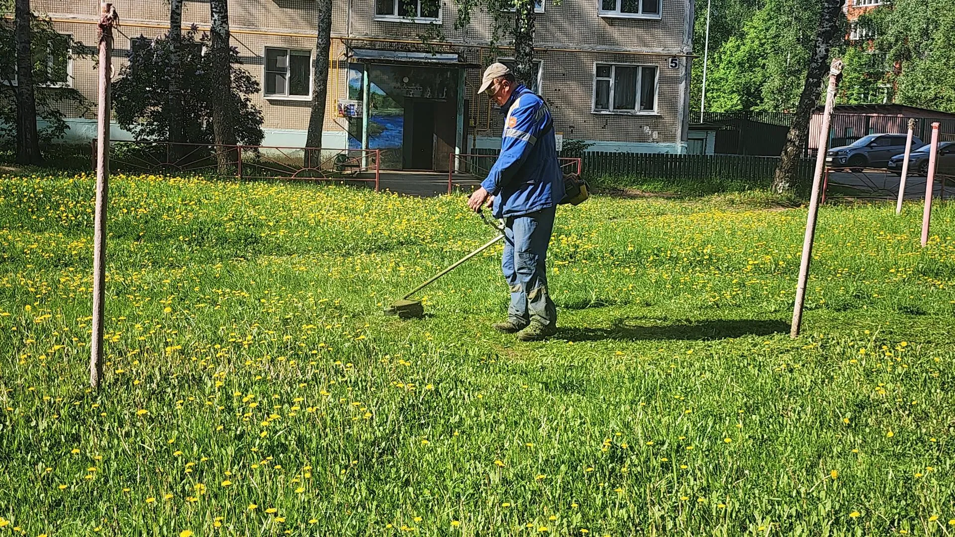 Картинка