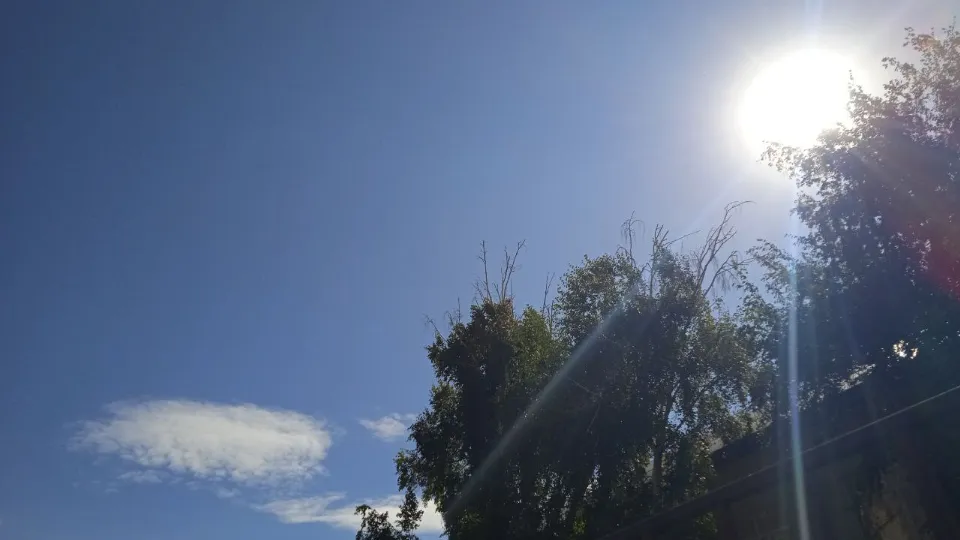 Фото: REGIONS/Юлия Куделькина