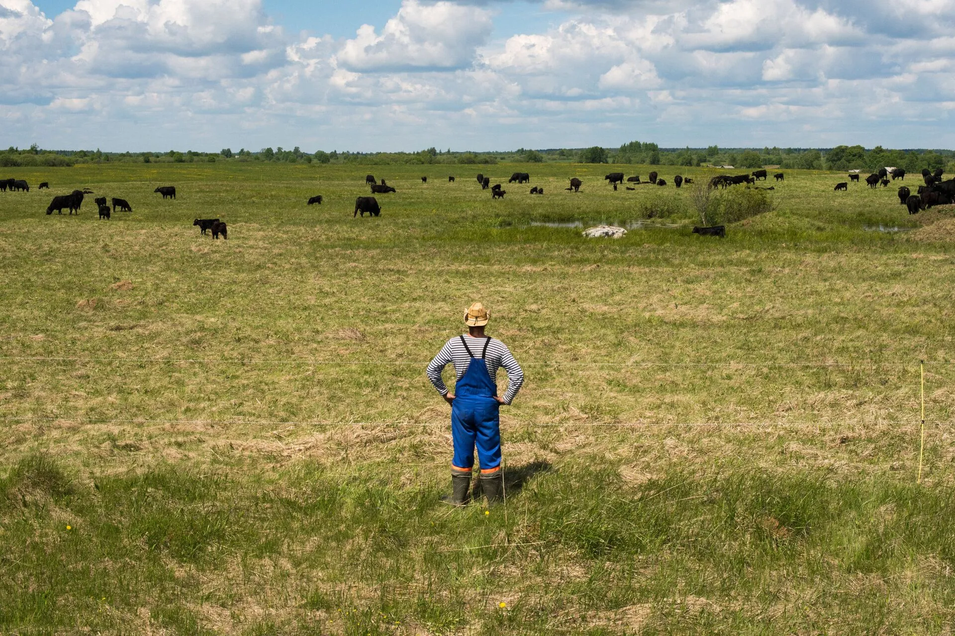 Фото: unsplash.com