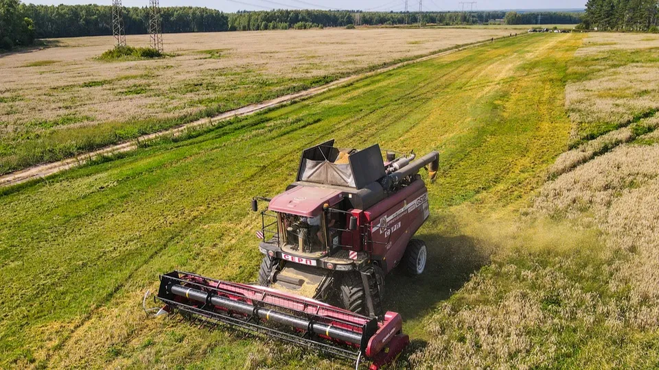 Фото: пресс-служба администрации г.о. Кашира