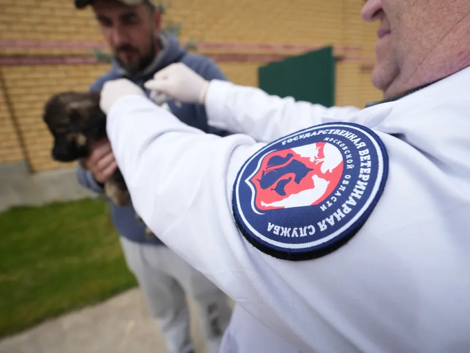 Фото: МедиаБанк Подмосковья/Наталья Надточная