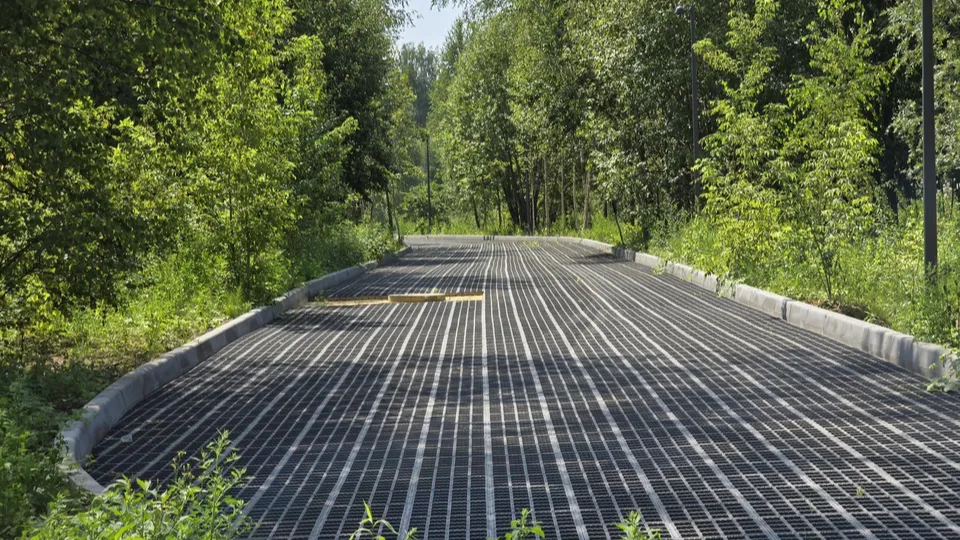 Фото: Марина Анисимова