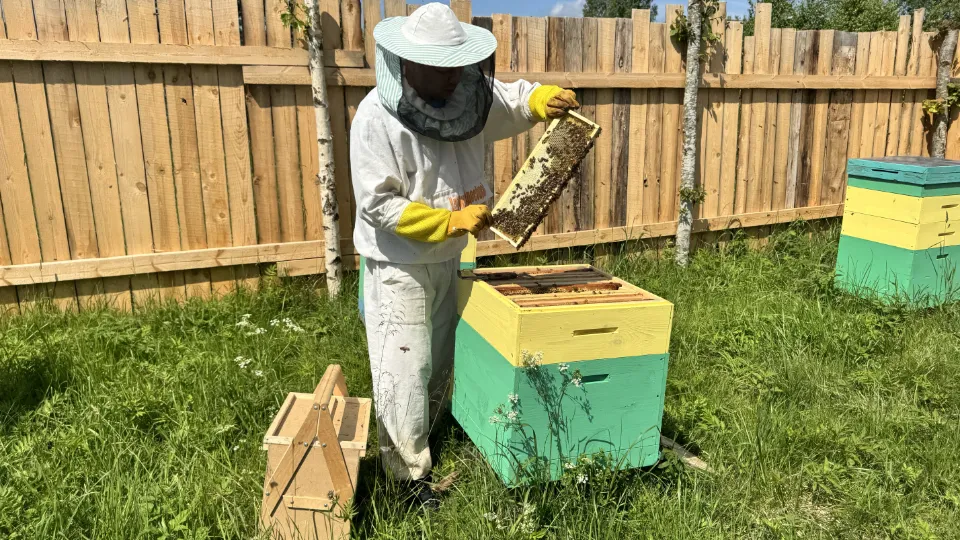 Фото: МедиаБанк Подмосковья/Татьяна Рунова