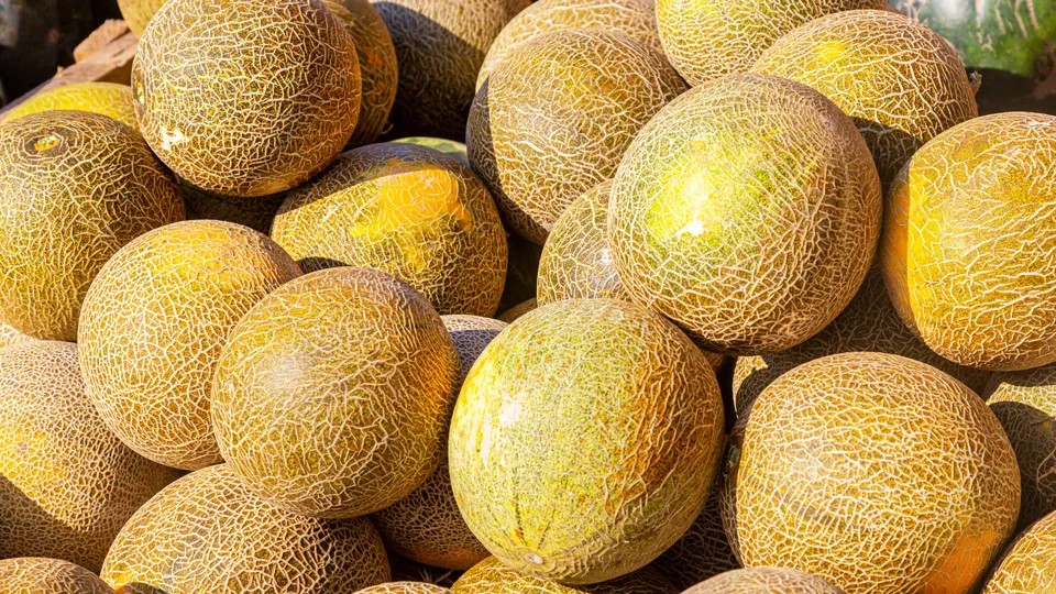 Фото: istockphoto.com