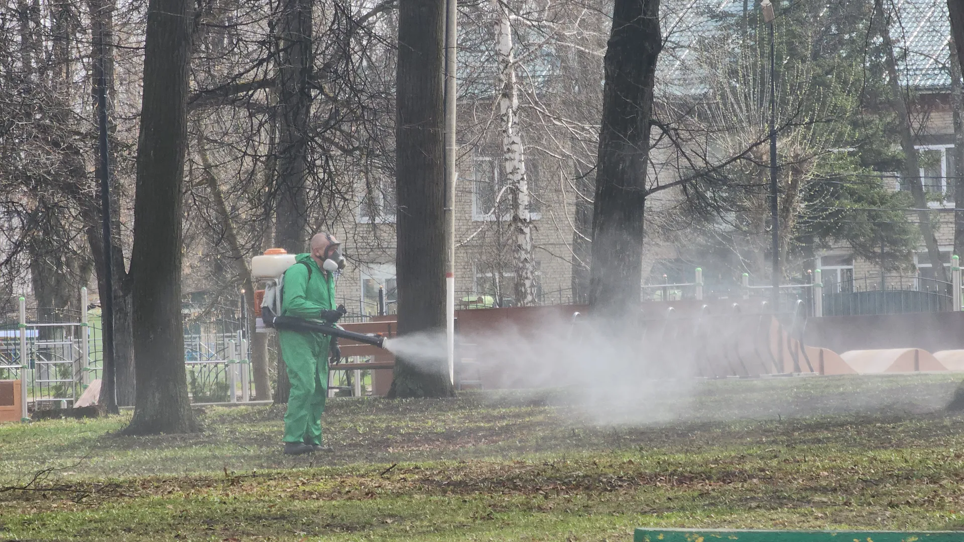 Фото: Медиабанк Подмосковья