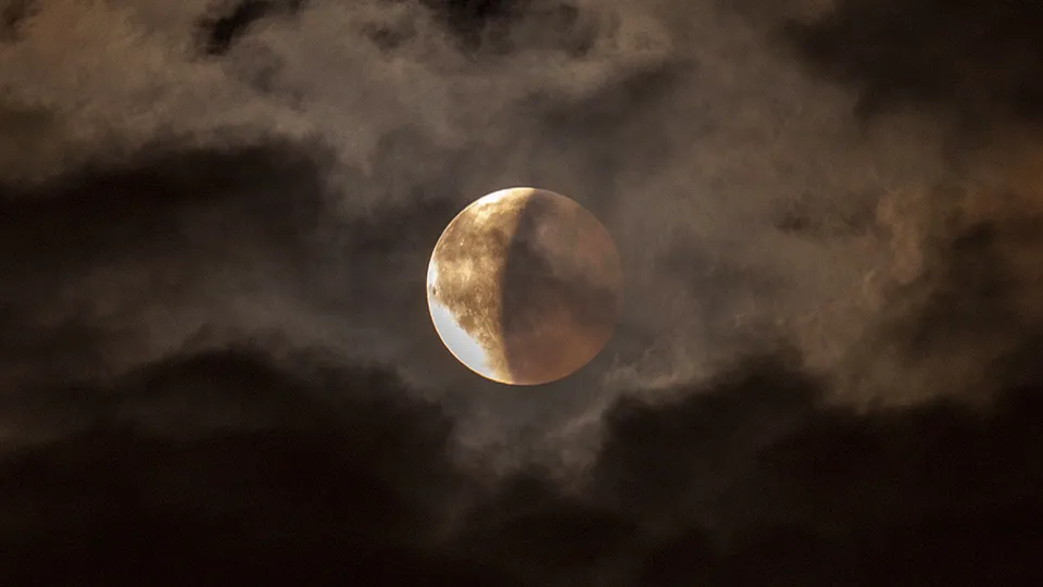 Фото: istockphoto.com