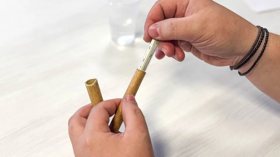 Фото: REGIONS/Владимир Ерастов