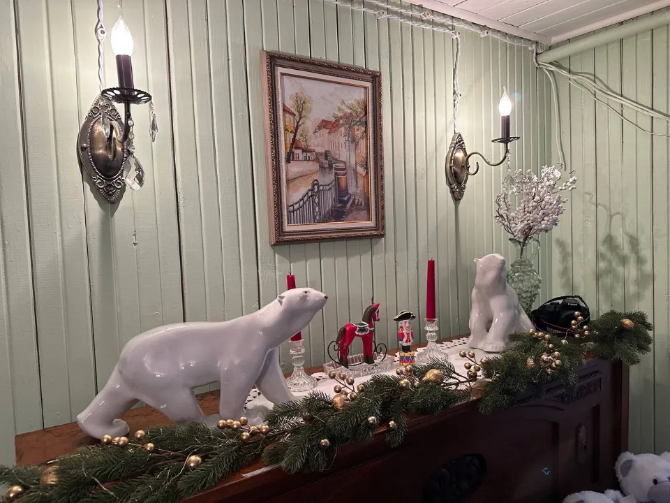 Фото: МедиаБанк Подмосковья/Эдуард Стратонов