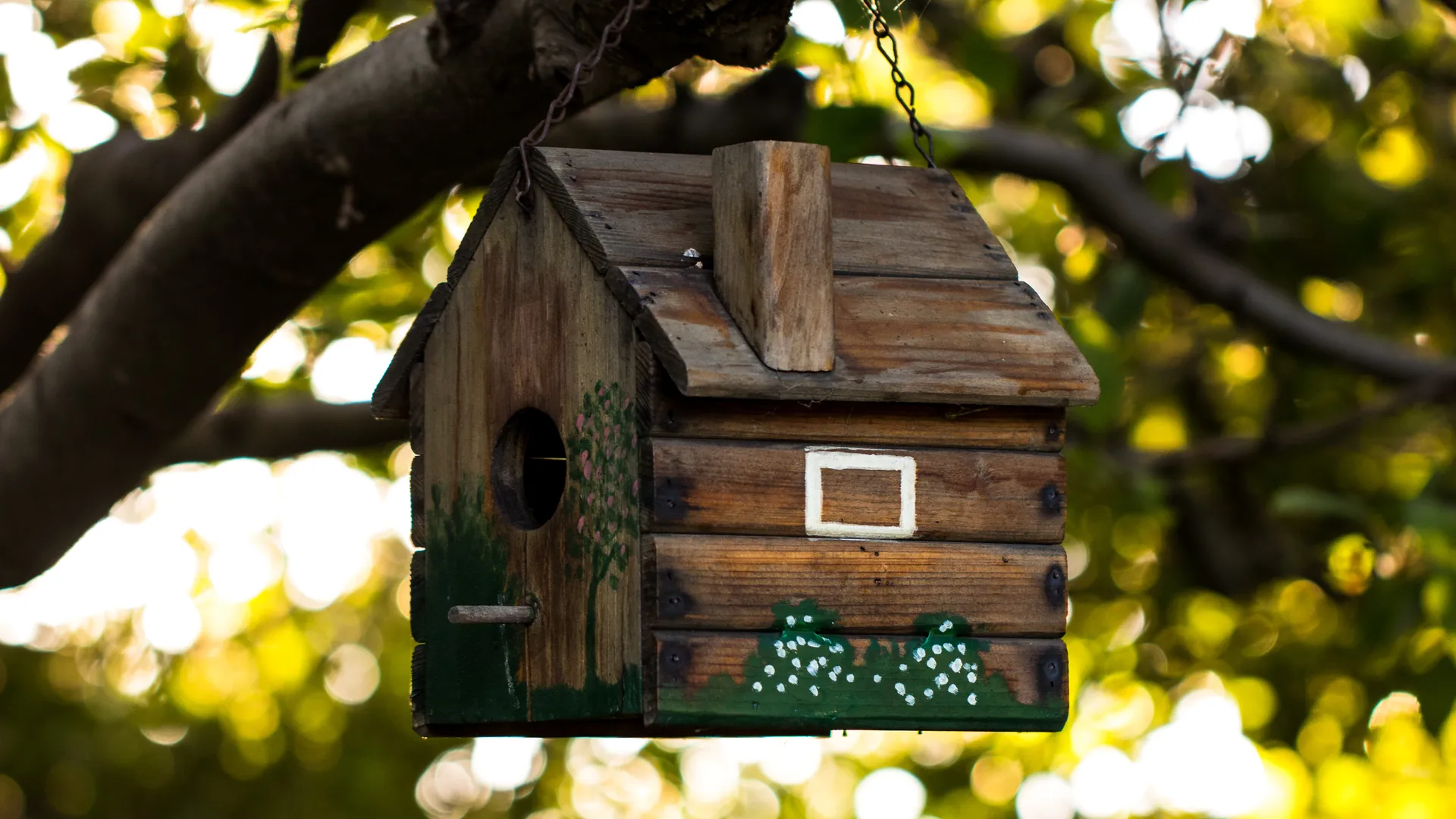 Фото: freepik.com