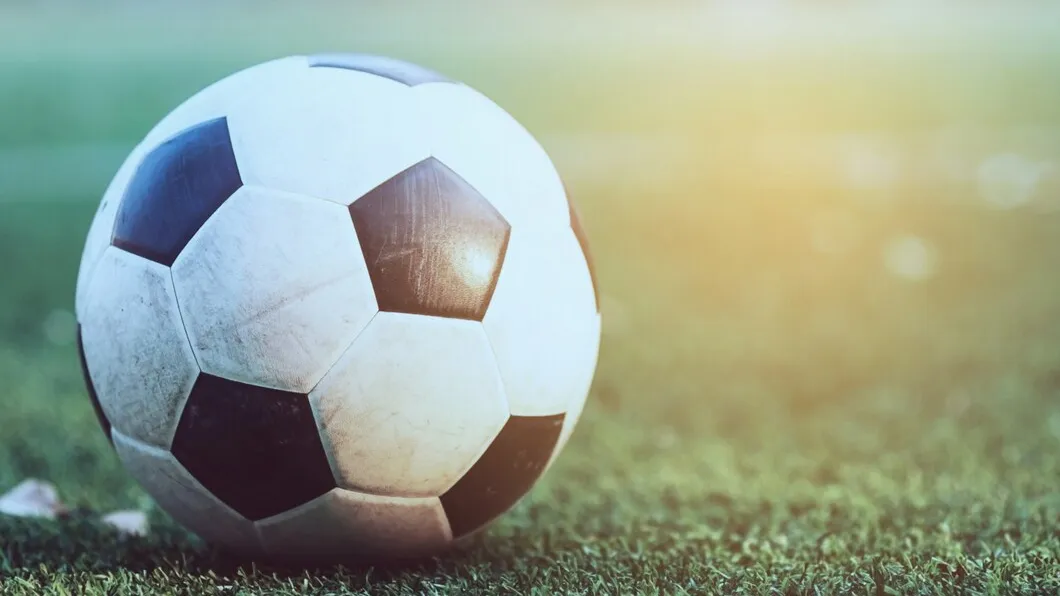 Фото: freepik.com