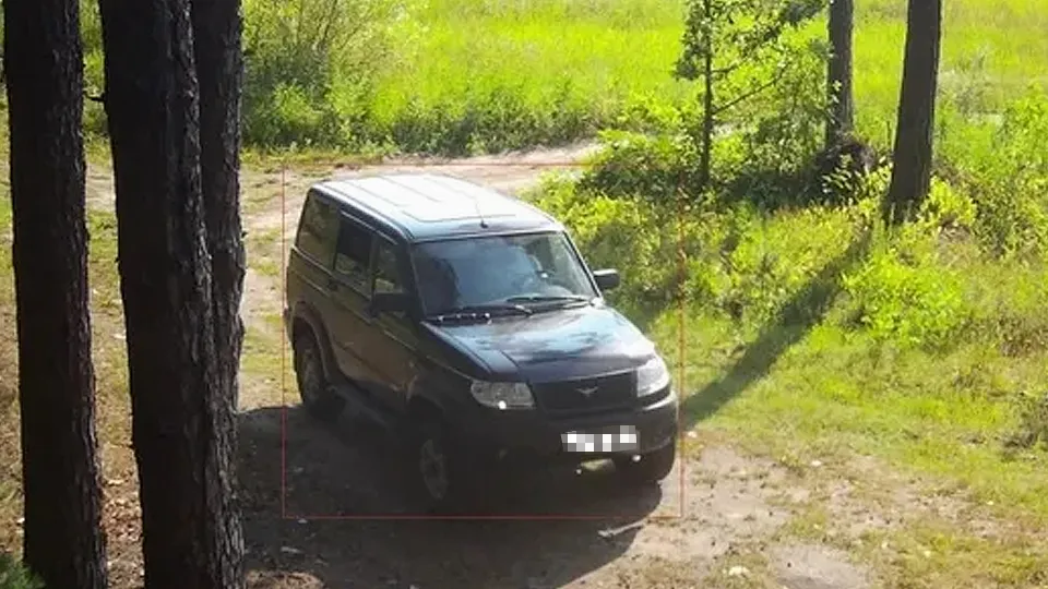 Фото: Комитет лесного хозяйства МО