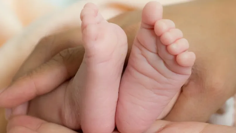 Фото: © Adobe Stock