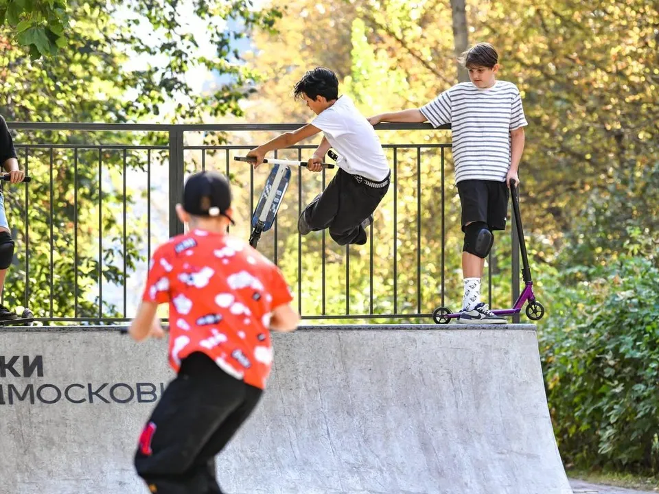 Фото:&nbsp;Министерство благоустройства Московской области