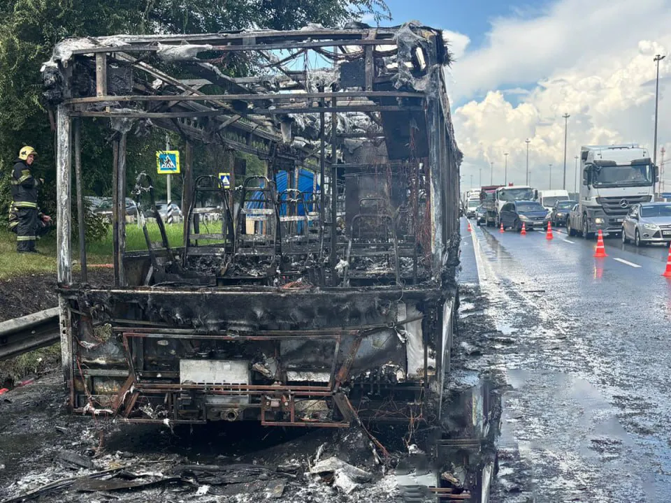 Фото: пресс-служба ГУ МВД России по Московской области