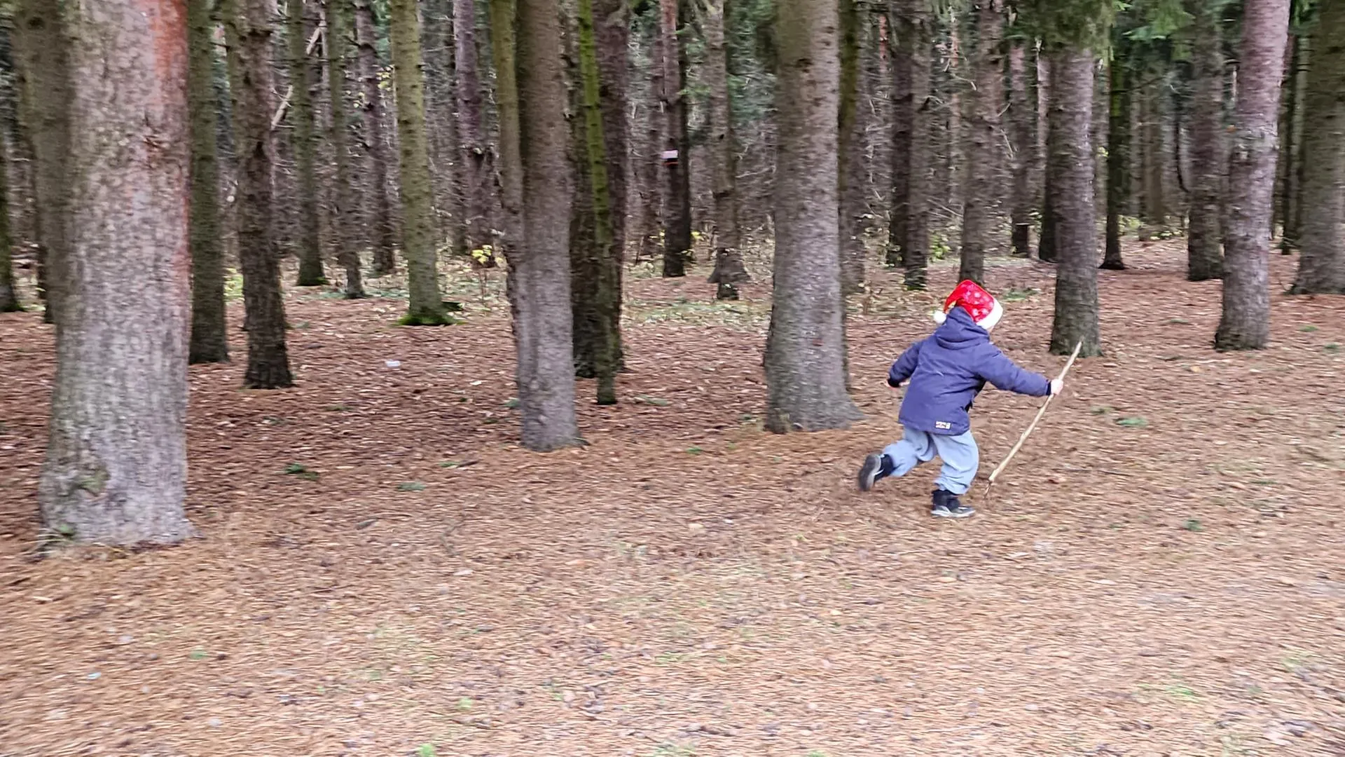 Добрынина Галина