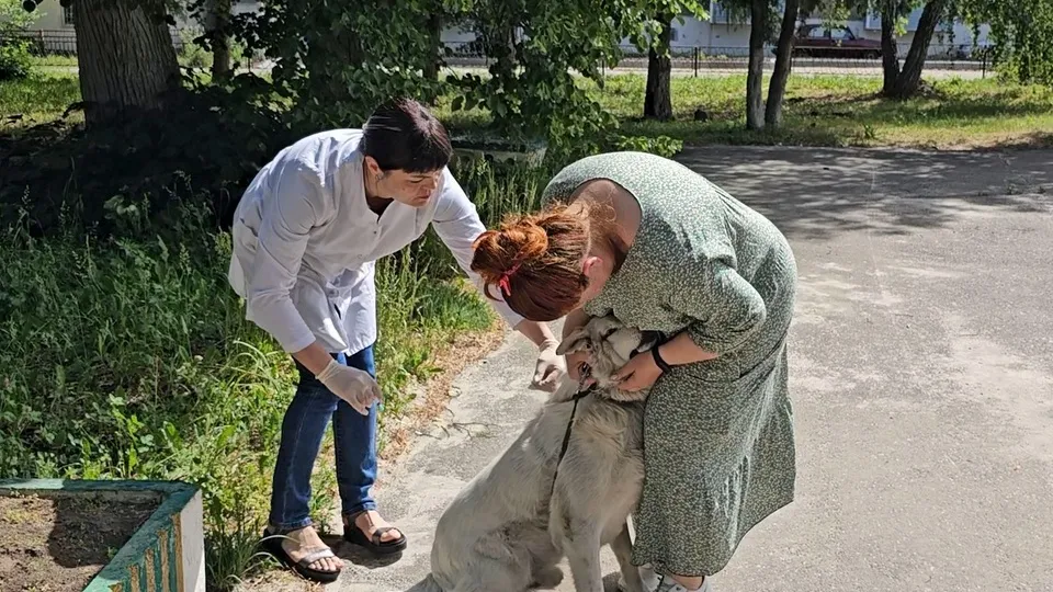 Фото: REGIONS/Александр Дрожжин