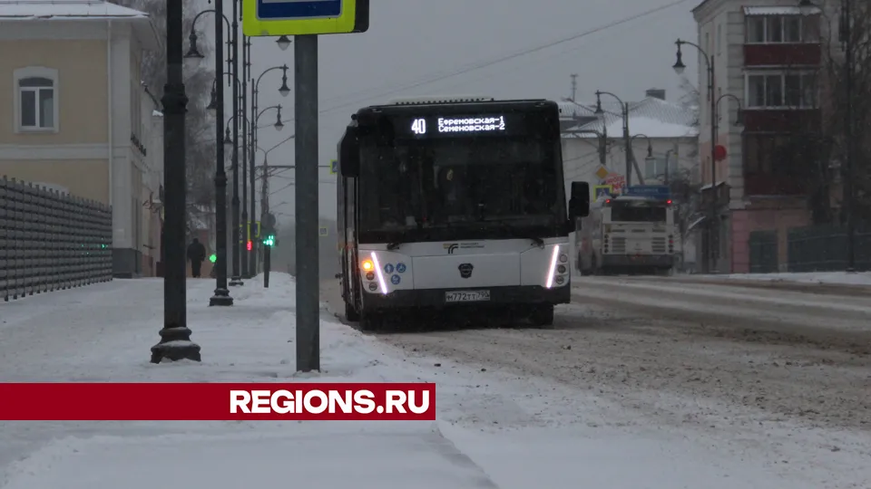 Фото: REGIONS/Василий Тремасов
