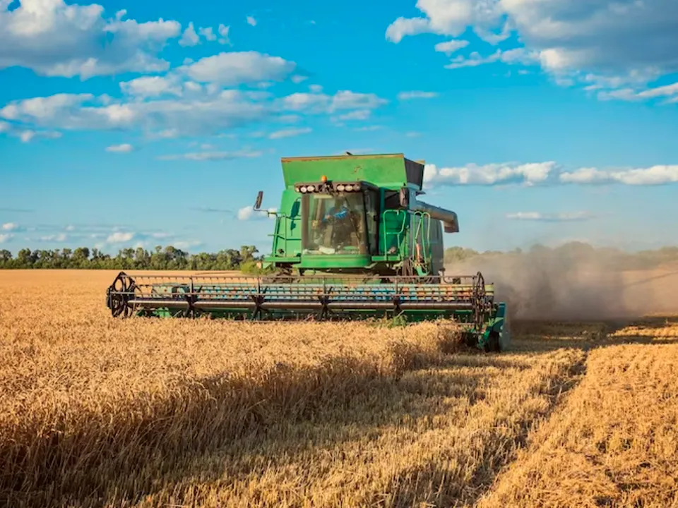 «Повысится конкурентоспособность»: выяснилось, как новый сельскохозяйственный проект поможет стране