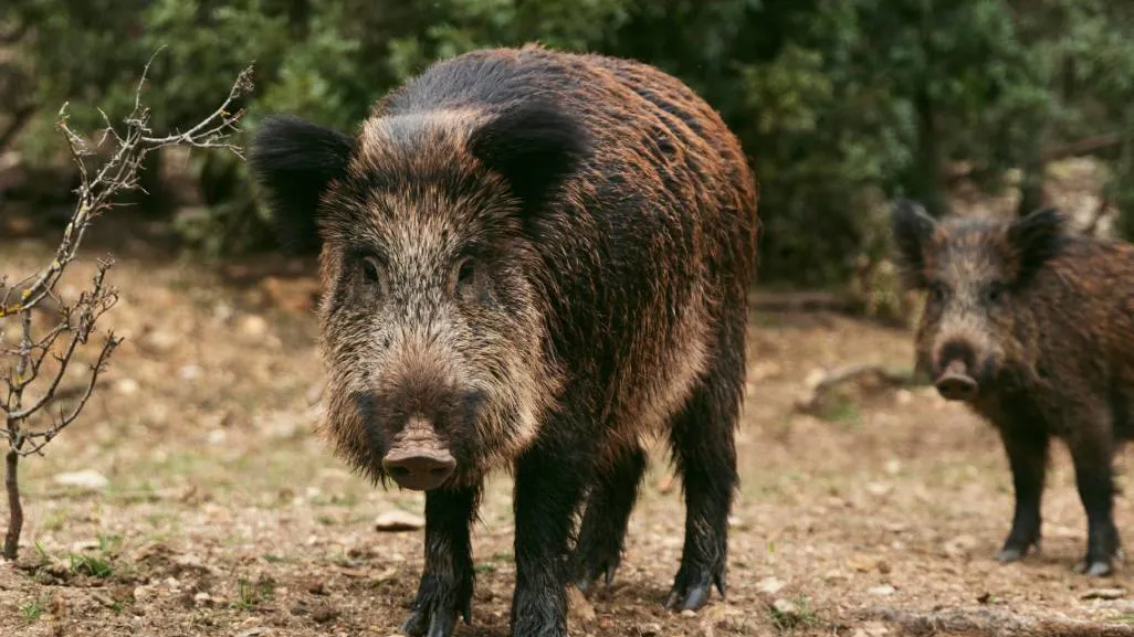 Фото: freepik.com