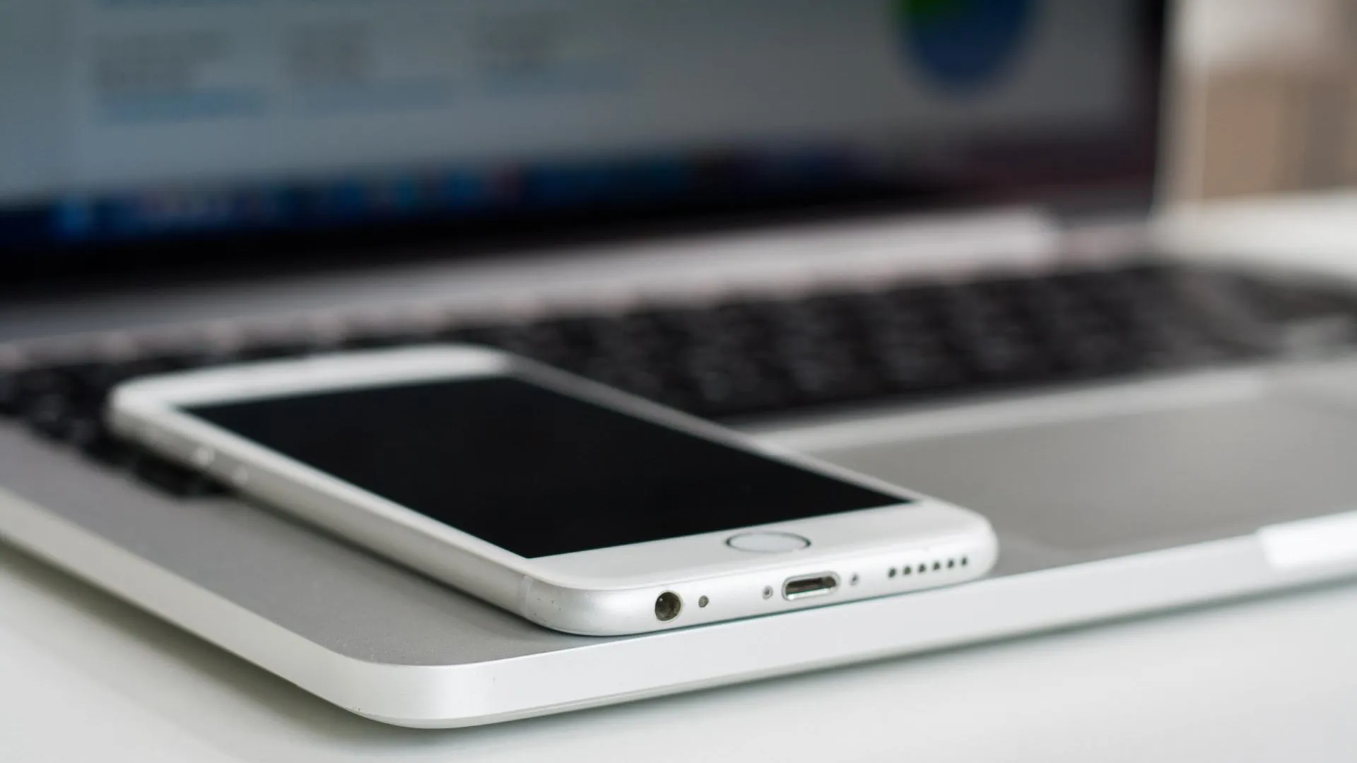 Фото: pxhere.com