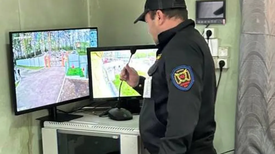 Фото: t.me/romashka_podolsk