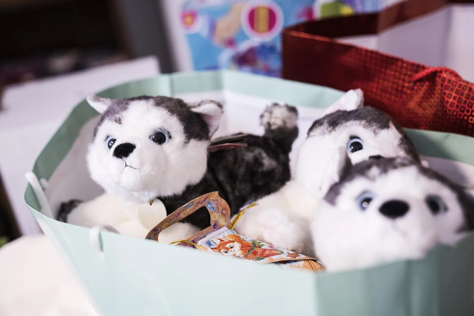 фото - Н. Надточая