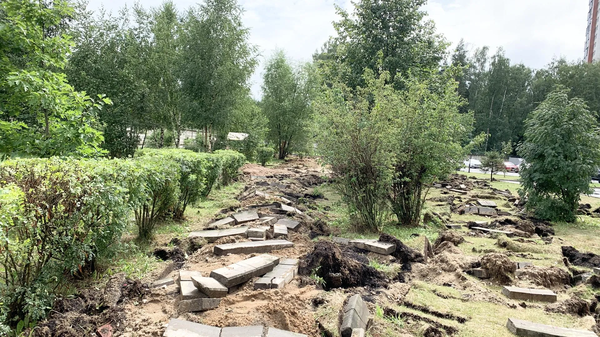 Фото: Ирина Мальцева