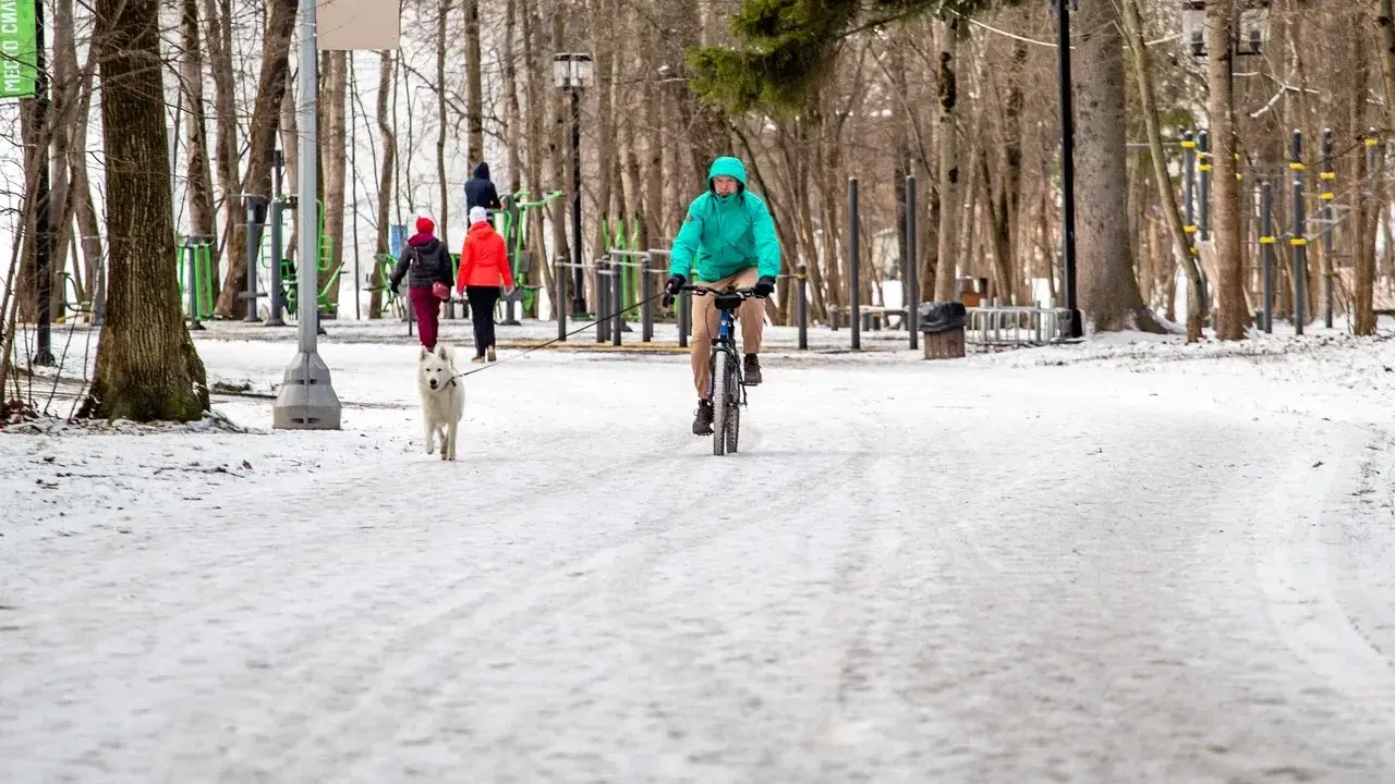 Министерство благоустройство Московской области