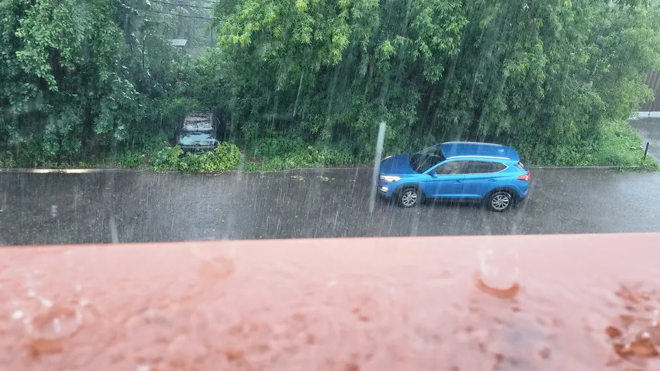 Фото: REGIONS/Наталия Надточая